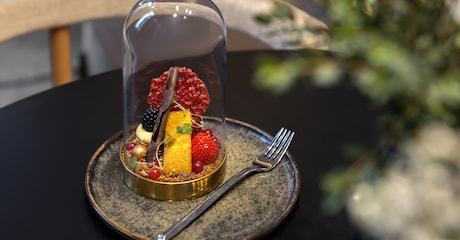 Room Suite with View